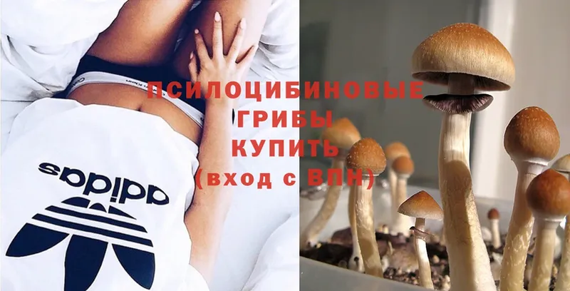 Галлюциногенные грибы Magic Shrooms  Благодарный 